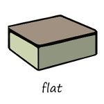 flat roof contractor